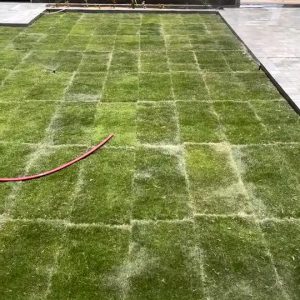 تنسيق حدائق القصيم ثيل طبيعي (5)